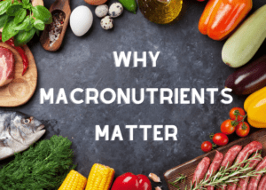 WHY MACRONUTRIENTS MATTER